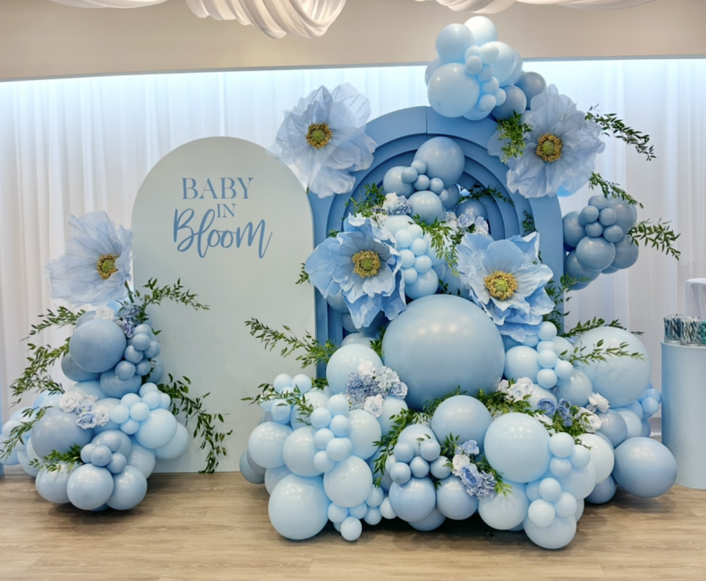 Northern Virginia Professional Baby Shower Decor and Photo Backdrop